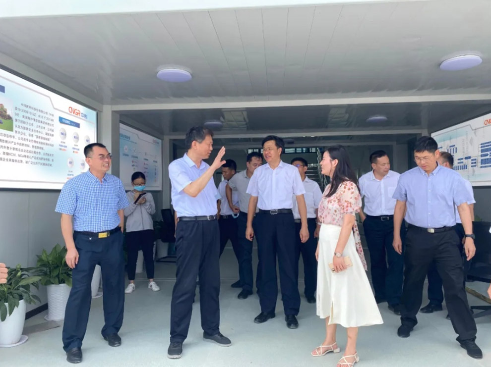 广西壮族自治区人民当局副主席费志荣赴南部产业基地调研 