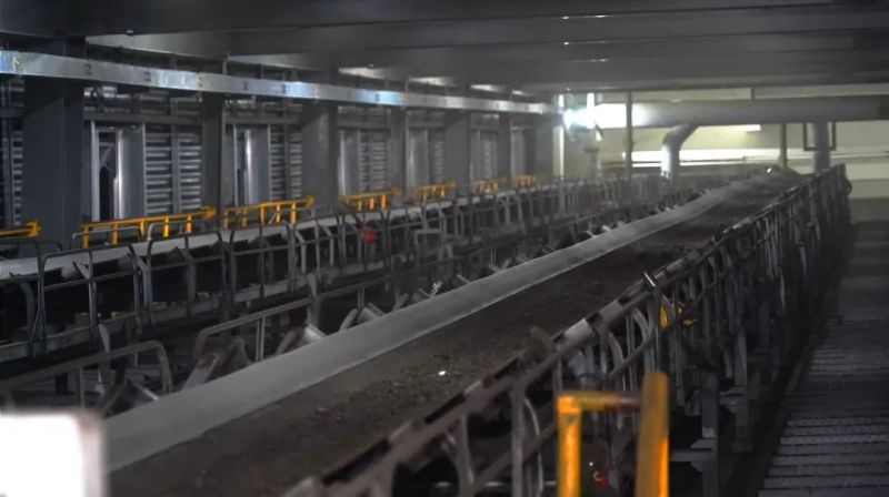 中国·tyc1286太阳成集团(股份)有限公司-官方网站