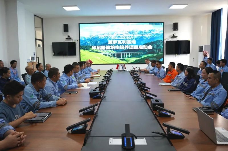 中国·tyc1286太阳成集团(股份)有限公司-官方网站