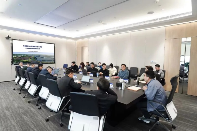加快数智赋能|太阳集团tyc1286股份SAP治理刷新导入项目阶段性成就汇报会顺利召开