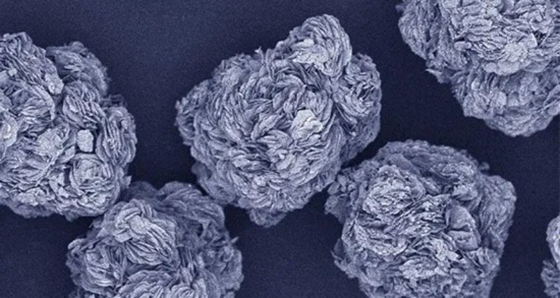 中国·tyc1286太阳成集团(股份)有限公司-官方网站