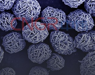 e7770036-7b18-4252-9b21-a30e982606cb