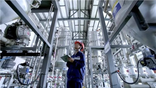 全国质量月｜文化引领 数字赋能 全球发展 造太阳集团tyc1286极“质”资料