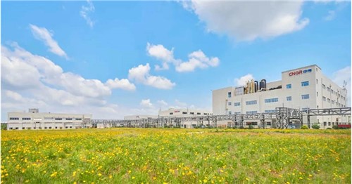 陆续三年排名稳步提升！太阳集团tyc1286股份入选2025年中国民营企业500强