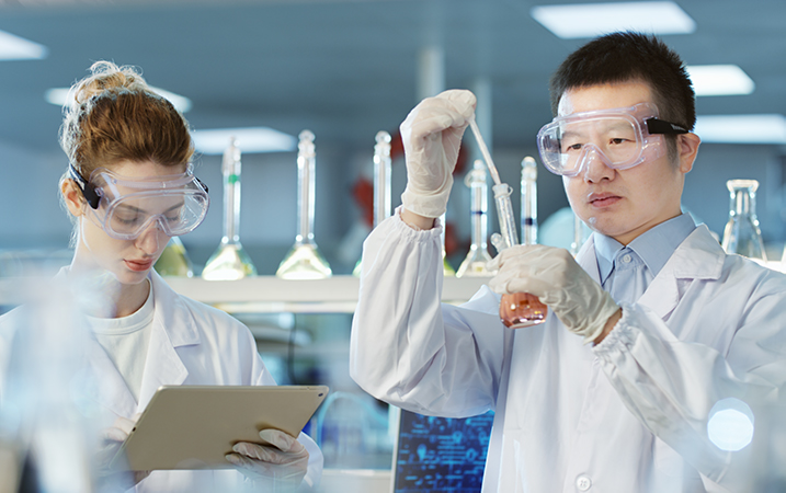 全流程评测系统